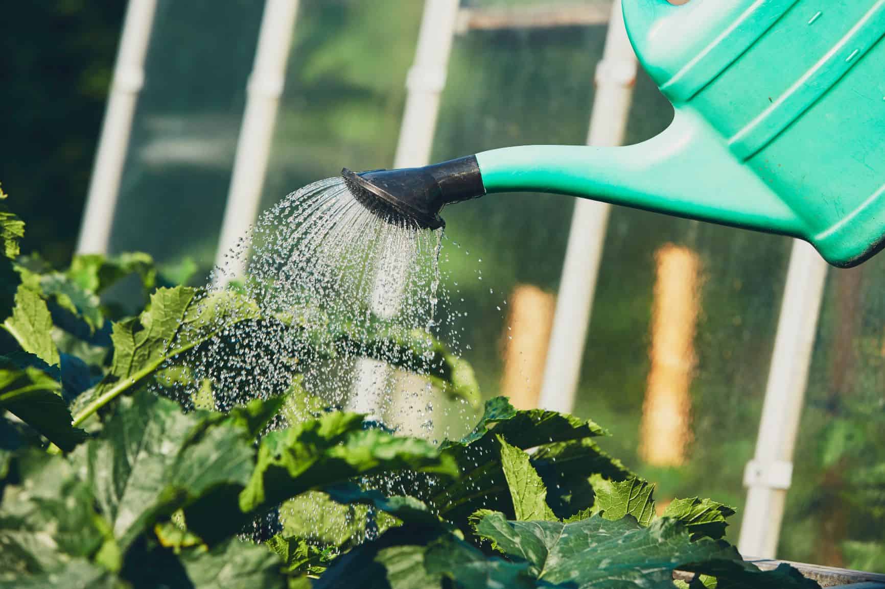 Questions You Need to Ask Before Hiring a Landscaper