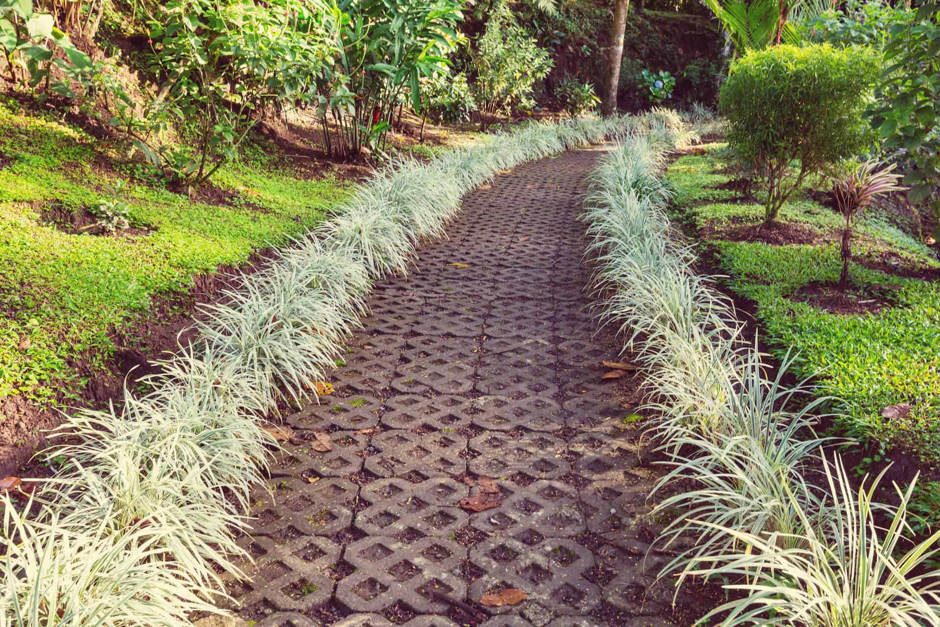 Garden Edging Ideas to Spruce Up Your Space