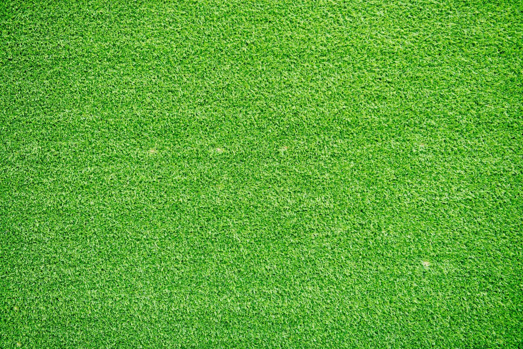 What Goes Into Managing Your Sports Field Turf?